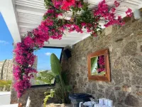 Bianco a Nero Mykonos Hotel a Platis Gialos