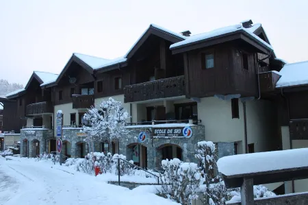 Very nice apartment skis Chamonix Valley Отели рядом с достопримечательностью «Парк Мерле»