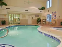 Holiday Inn Express & Suites CARSON CITY by IHG - Pool