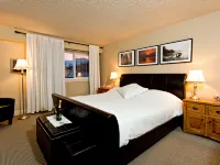 Red Tree Lodge Hotels in Fernie