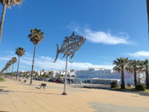 스마트 코닐 로스 바텔레스 28584