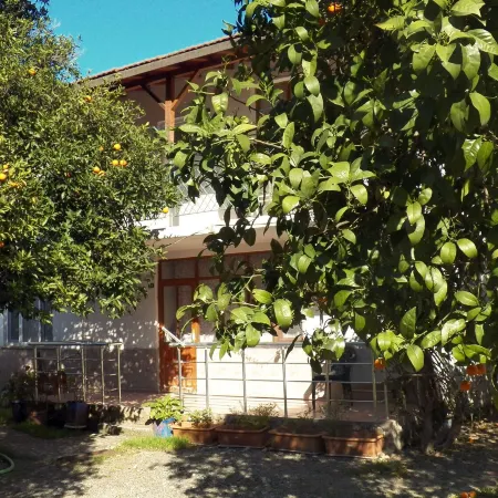 Cirali Irmak Hotel