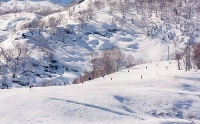 ホテル周辺 Jade Rabbitの写真