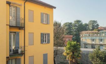 Zezio 44 by Rent All Como