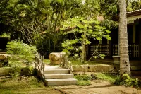 Thaulle Ayurveda Resort - Yala - インフィニティプール