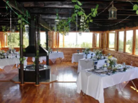 Sycamore Avenue Treehouses & Cottages Accommodation