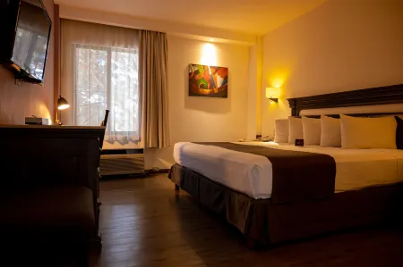 Hotel Victoria Express