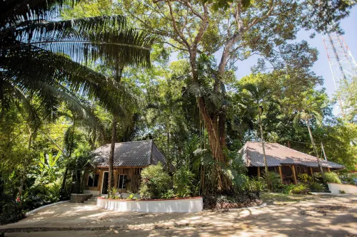 Falling Leaves Lodge Hotels in San Ignacio