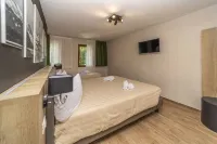 Hotel Petit Palais Hotels in Maen