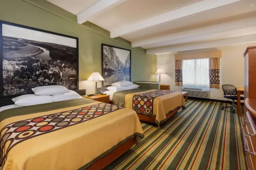 Super 8 by Wyndham Beaumont I-10 South/College St