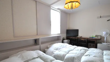 Tomikawa City Hotel Отели в г. Биратори