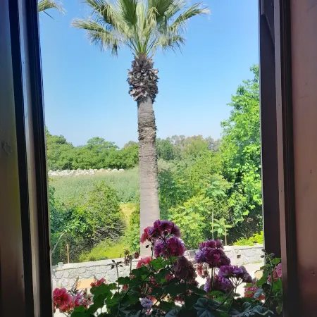 Casa Callinos