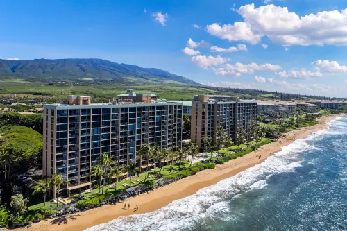 Ocean-Front Views and Modern Coastal Decor - Elegant Hawaiian Retreat