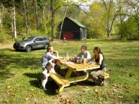 WiFi & Pet Friendly - Alice Rocks near Cave Run Lake & Red River Gorge! Hotels in Frenchburg