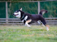 New Tomarizakiso Các khách sạn ở Minamisanriku