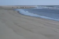 Beautiful 4 bedroom/4 bath home with private heated pool, Discounted Fall Rates