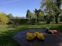 Casa Grande de Trives