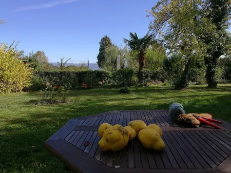 Casa Grande de Trives