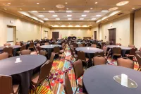 Hampton Inn Daytona Beach-Speedway/Airport - parking