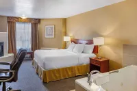 Quality Inn & Suites Edmonton International Airport