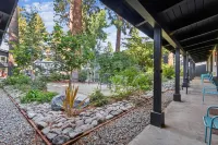 Brand New Boutique Stay - Stateline, Heavenly, Beach - South Lake Chalet