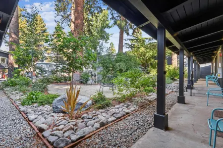 Brand New Boutique Stay - Stateline, Heavenly, Beach - South Lake Chalet Отели в г. Саут Лейк Тахо