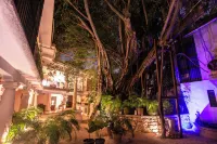 Acqua in Bocca - Bintang 2