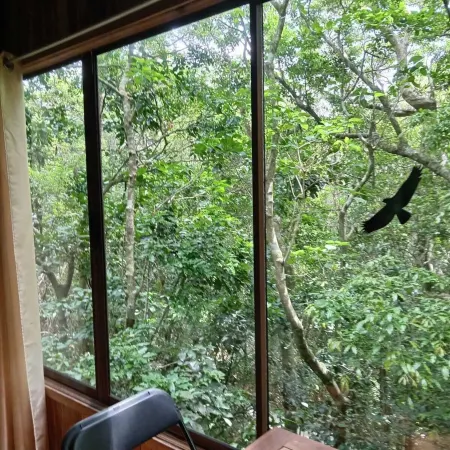 The Green Tree Lodge