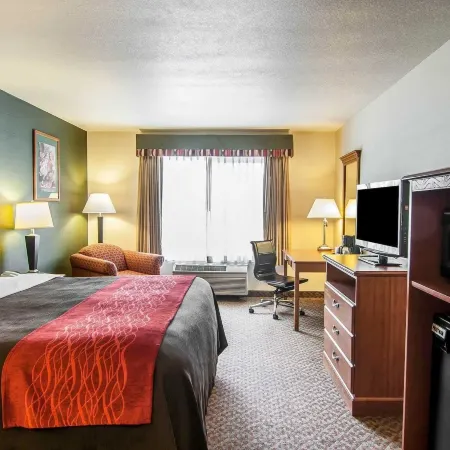 Comfort Inn & Suites Salem