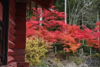 Koyasan Shukubo Jokiin - Scenic