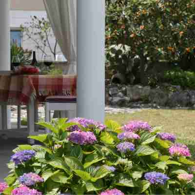 Villa Mandolina Apartments Hotel Exterior