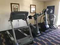 Microtel Inn & Suites by Wyndham Indianapolis Airport - gimnasio