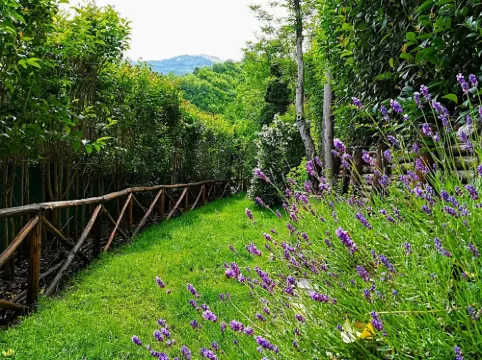 La Voce del Fiume | B&B a Brienza