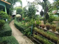 Mr Jan Guest House Hotellit kohteessa Wiang Nuea