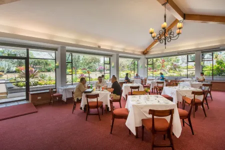 Hotel Bougainvillea San José Отели в г. Sector Concepcion