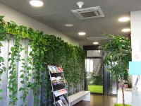波爾多洛爾蒙特斯塔迪酒店 - Wi-Fi