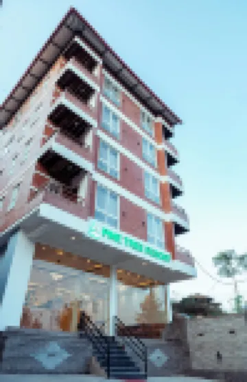 Pine Tree Resort
