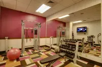 Palace Casino Resort - Gym