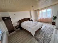 Airport Forest Room Hotels in 
