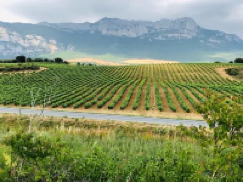 La Casona de Alútiz & Bodega Hotels in Rioja Alavesa