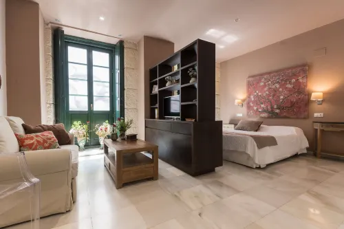 루세스 데 카테드랄