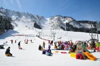 Guesthouse Unila Hotels in Shirakawa