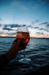 Temple Point Resort - bar