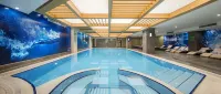 Ramada Plaza by Wyndham Konya - Hot Tub