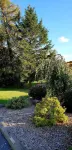 The Vine B & B