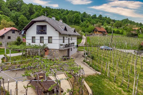 Vineyard Homestead Vrtin