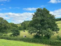 Cozyshepherdshutwithhottub Hotels in South Molton
