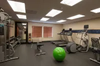 Hampton Inn Minneapolis-St. Paul/Eagan (Mall of America Area) - Gym
