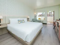 棕櫚山度假水療酒店 棕櫚泉酒店