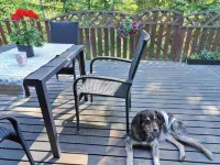 Cozy Forest Retreat in Kuopio - Perfect for Families Work Trips
